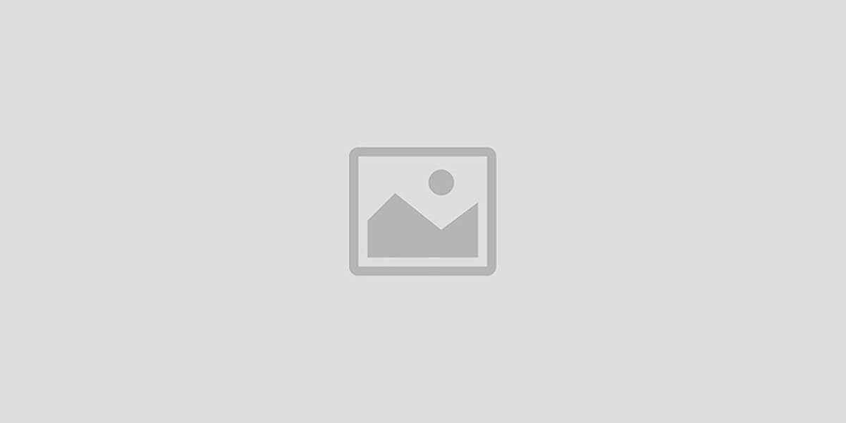 ASIAN CORPORATION LTD.